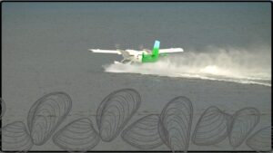 AIS Spotlight How Zebra Mussels Can Ground Your Aircraft