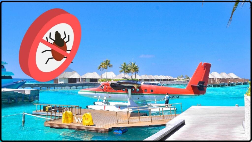 Why Seaplane-Specific Decontamination Is Different